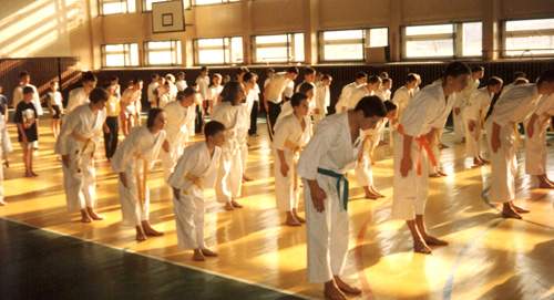 klub karate w Ostrowcu, karate, karate Ostrowiec, sztuki walki Ostrowiec, sporty walki Ostrowiec, judo,